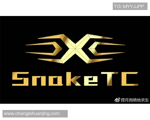s15电竞热议CSGOLNG节奏变革引发战术革新与玩家热情共振