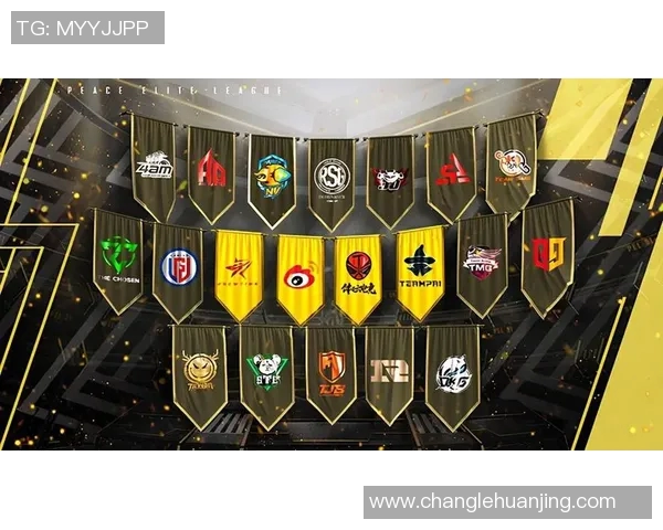 高校联赛精彩回顾WE战队在S15电竞赛季中的实力表现分析